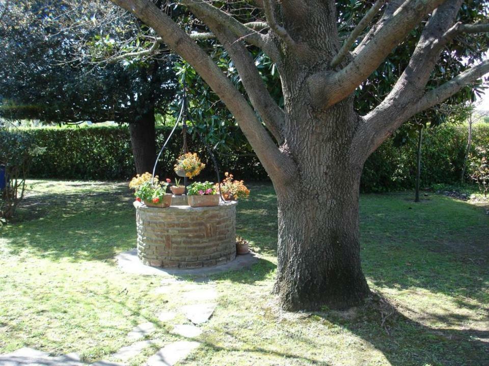 比萨卡拉住宿加早餐旅馆住宿加早餐旅馆 外观 照片